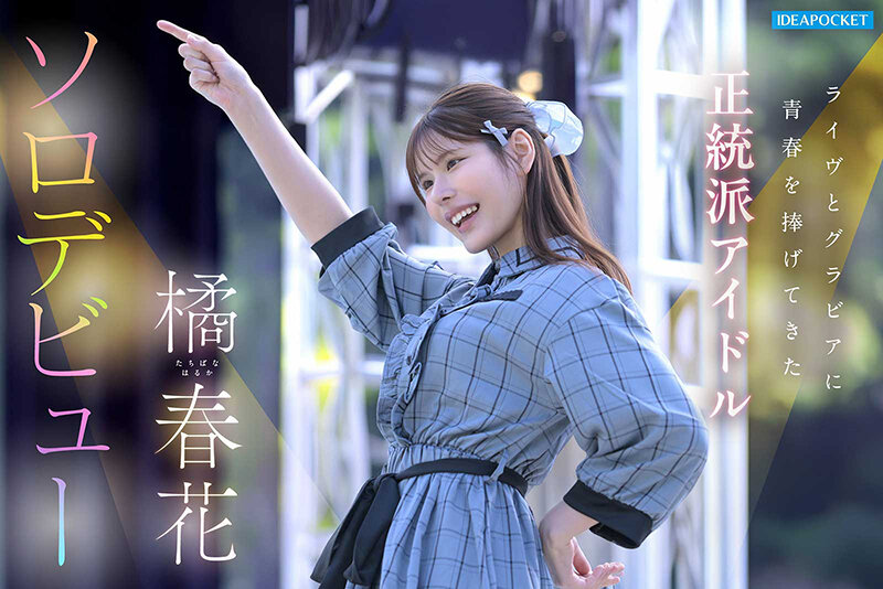 橘春花